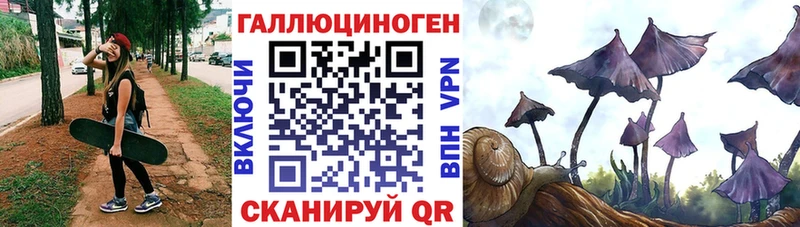 Купить закладки  Кулебаки  Псилоцибиновые грибы GOLDEN TEACHER 